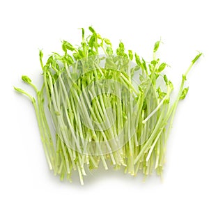 Fresh Snow pea sprouts isolated over a white background