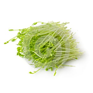 Fresh Snow pea sprouts isolated over a white background