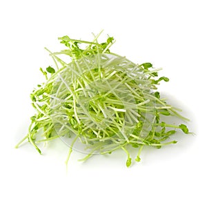 Fresh Snow pea sprouts isolated over a white background