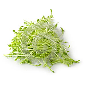 Fresh Snow pea sprouts isolated over a white background