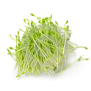 Fresh Snow pea sprouts isolated over a white background