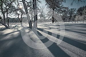 Fresh snow and shadows on a sunny winter day