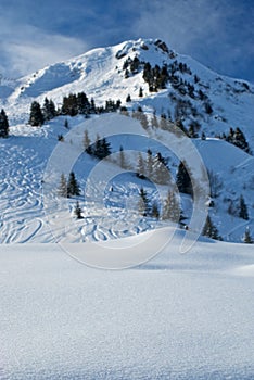 Fresh Snow on Ski Slope