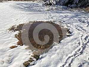 Fresh snow surrounding a small body of water in the ground
