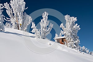 Fresh snow in Tahoe