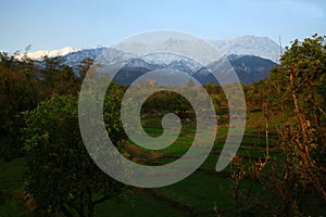 Fresh snowfall and green fields of Kangra India