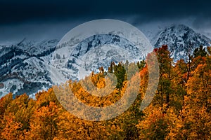 Fresh Snowfall Over Kebler