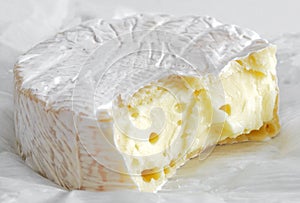 fresh Soft ripened cheese photo