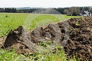 Fresh soil - clod photo