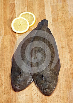 FRESH SOLE FISHsolea solea AND YELLOW LEMON photo