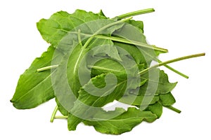 fresh sorrel, garden sorrel, rumex acetosa, green leaves, isolated on white background. Top view