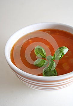 Fresh soup