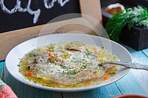 Fresh soup with meat and vegetables in a ceramic plate