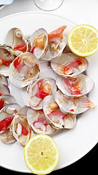 Fresh spanish conchas finas at plate with lemon photo