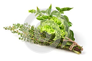 Fresh spices and herbs bouquet, isolated on white background. Dill, lettuce, thyme, sage. Isolated on white background