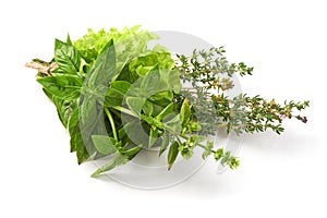 Fresh spices and herbs bouquet, isolated on white background. Dill, lettuce, thyme, sage. Isolated on white background