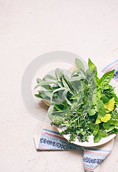 Fresh spicy and medicinal herbs on white background. Bouquet from various herb - rosemary, oregano, sage, marjoram, basil, thyme,