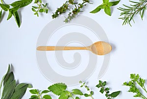 Fresh Spicy and medicinal herbs on white background and wooden spoon. Border from various herb - rosemary, oregano, sage, marjoram