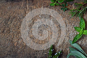 Fresh spicy and medicinal herbs on wooden background. Border from various herb - rosemary, oregano, sage, marjoram, basil, thyme,