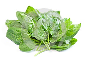Fresh spinach