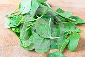 Fresh spinach