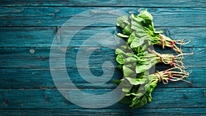 Fresh spinach on a blue wooden background. Healthy food. Top view.