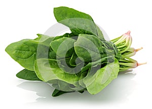 Fresh spinach isolated on white