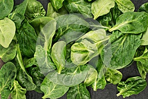 Fresh Spinach Leaves