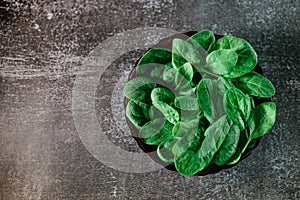Fresh spinach leaves on a black plate. gray background. Copy space. Vegetarian diet concept. Green vegetables. Healthly food