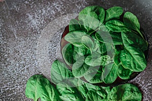 Fresh spinach leaves on a black plate. gray background. Copy space. Vegetarian diet concept. Green vegetables. Healthly food