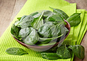 Fresh spinach leaves photo