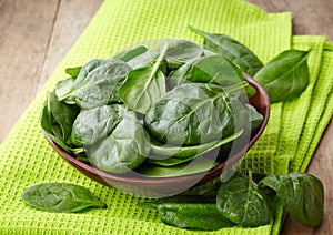 Fresh spinach leaves