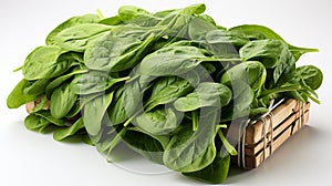 fresh spinach leaves HD 8K wallpaper stock photographic image