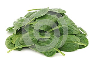 Fresh spinach leaves