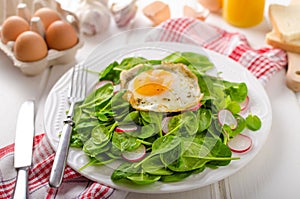 Fresh spinach, radish salad with fried egg