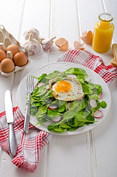 Fresh spinach, radish salad with fried egg