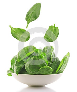Fresh spinach in a white bowl