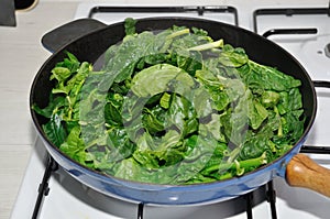 Fresh spinachs on a pan photo