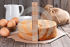 Fresh sponge cake. Chiffon biscuit on table