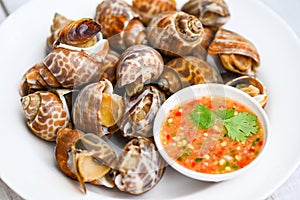 Fresh  Spotted babylon Sea shell limpet ocean gourmet seafood in the restaurant, Babylonia areolata shellfish seafood on white