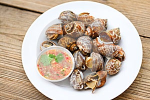 Fresh Spotted babylon Sea shell limpet ocean gourmet seafood in the restaurant, Babylonia areolata shellfish seafood on white