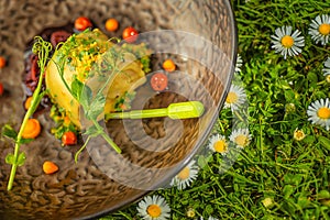 Fresh spring appetizer with cheese and herbs served on green grass with flowers, product photography for restaurant