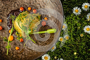 Fresh spring appetizer with cheese and herbs served on green grass with flowers, product photography for restaurant