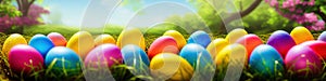 Fresh spring background with easter eggs banner green juicy meadow. Colored Easter eggs hidden