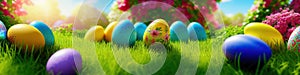 Fresh spring background with easter eggs banner green juicy meadow. Colored Easter eggs hidden flowers grass.Easter