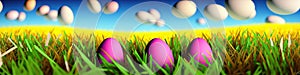 Fresh spring background with easter eggs banner green juicy meadow. Colored Easter eggs hidden flowers grass.Easter