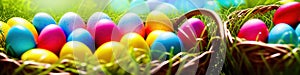 Fresh spring background with easter eggs banner green juicy meadow. Colored Easter eggs hidden flowers grass.Easter