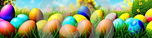 Fresh spring background with easter eggs banner green juicy meadow. Colored Easter eggs hidden flowers grass.Easter