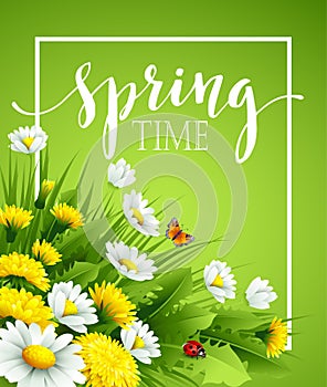 Fresh spring background with grass, dandelions and