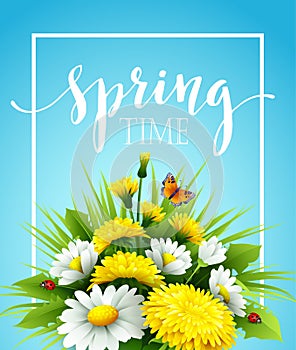 Fresh spring background with grass, dandelions and
